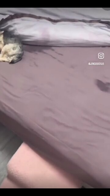 The Tunnell Take 😂😂