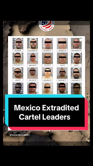 Cartel Leaders Extradited