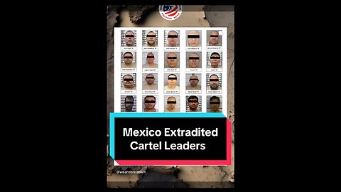 Cartel Leaders Extradited