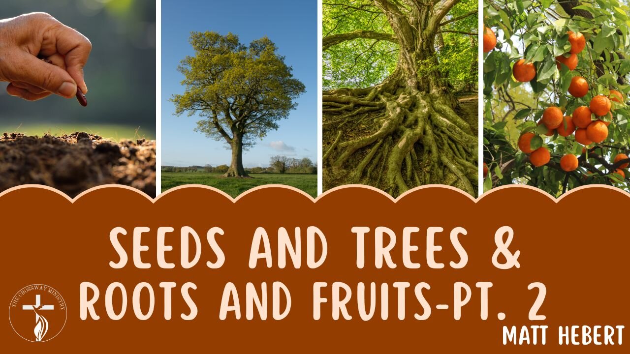 Seeds and Trees & Roots and Fruits