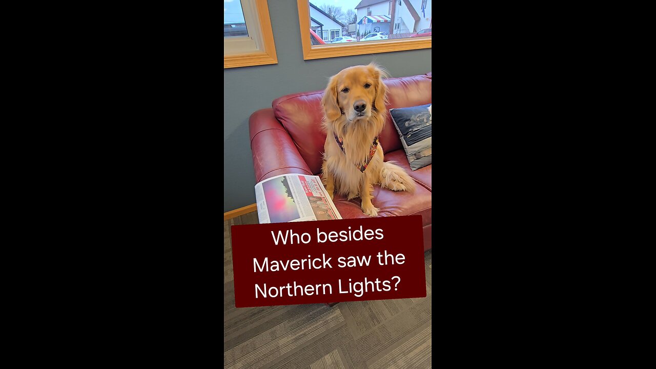 Who else saw the Northern Lights?