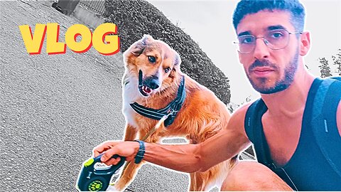 [VLOG] C'est finito, go #MGTOW