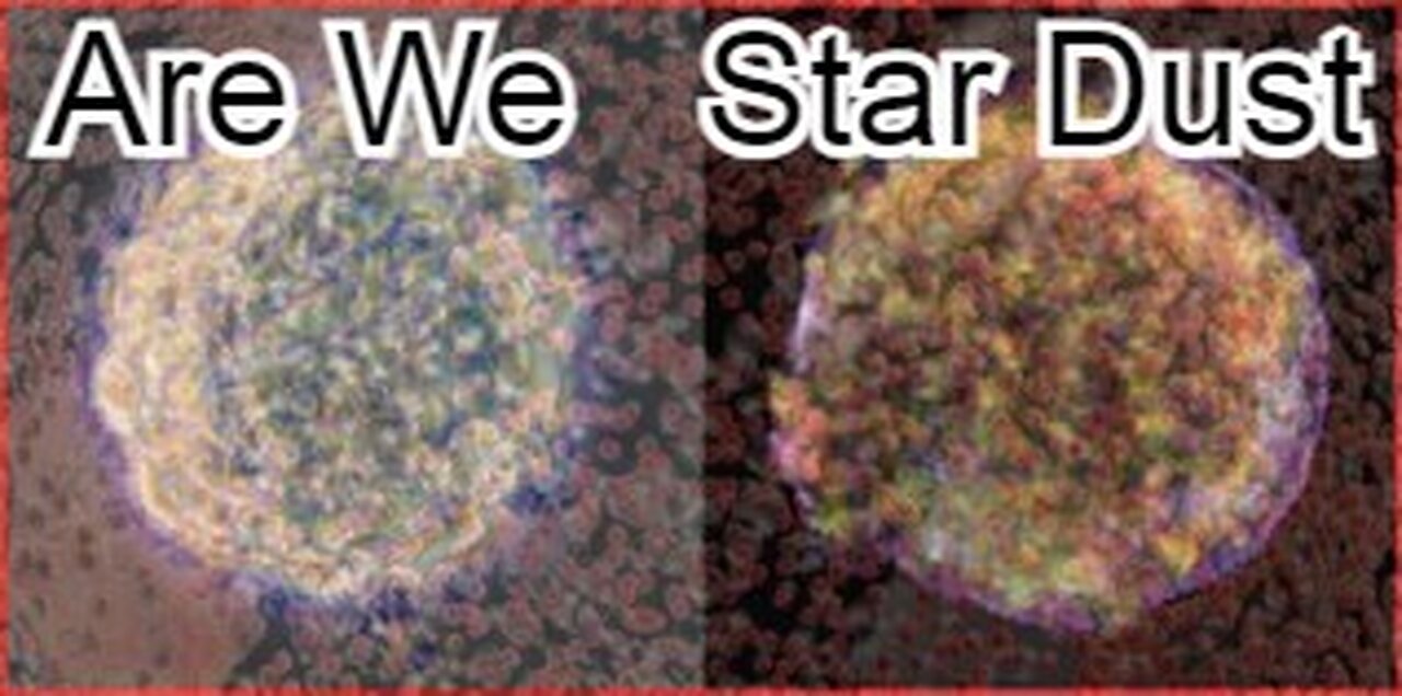 Are We Star Dust?