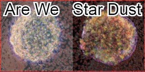 Are We Star Dust?