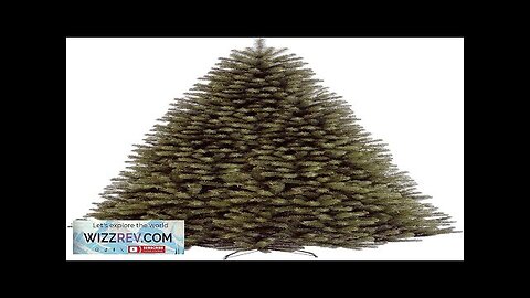 National Tree Company Artificial Giant Christmas Tree Green North Valley Spruce Includes Review