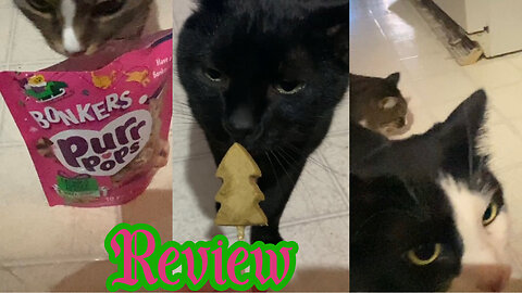 Cats Review Bonkers Catnip and Turkey Flavor Christmas Tree Purr Pops
