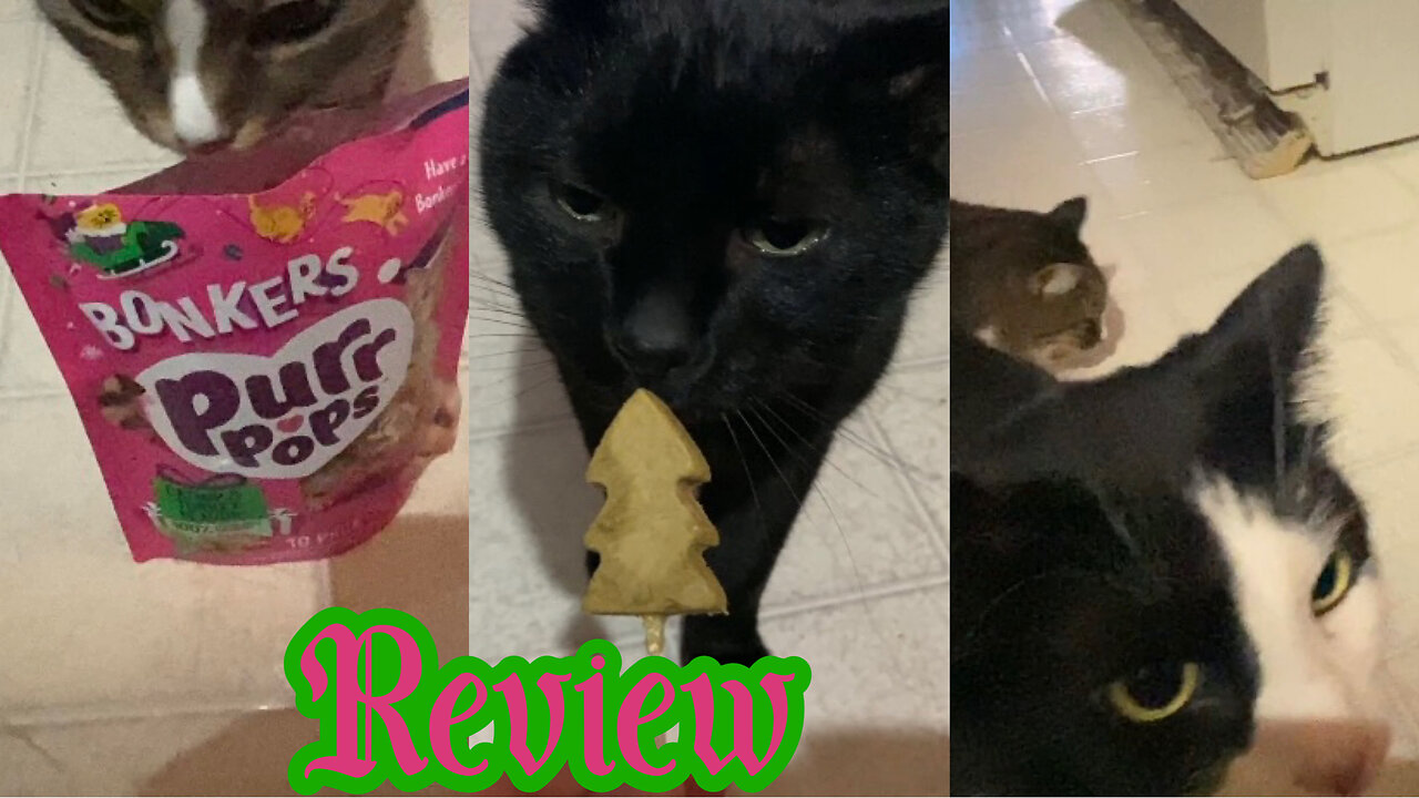 Cats Review Bonkers Catnip and Turkey Flavor Christmas Tree Purr Pops