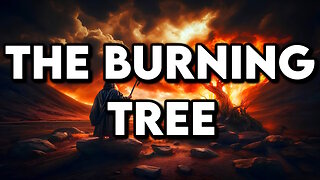 🔥The Burning Tree 🔥