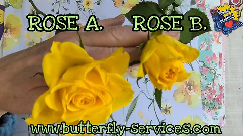 Pick a flower! Psychic flower reading