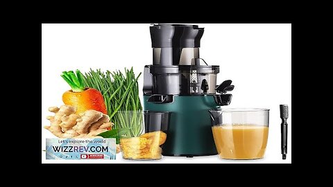 Cold Press Juicer Machines-SOVIDER Up to 92% Juice Yield Compact Slow Masticating Review