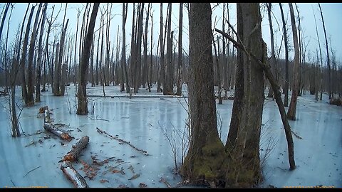 Große oder kleine Eiszeit? Was meint Ihr?
