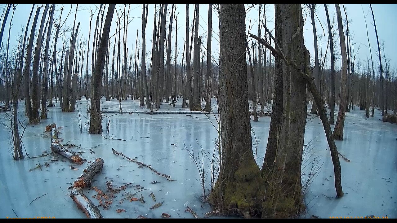 Große oder kleine Eiszeit? Was meint Ihr?