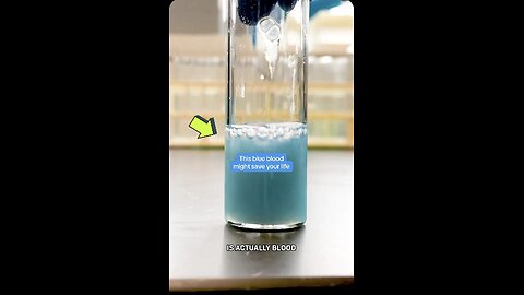 Captioned - The blue blood of horseshoe crab might save your life