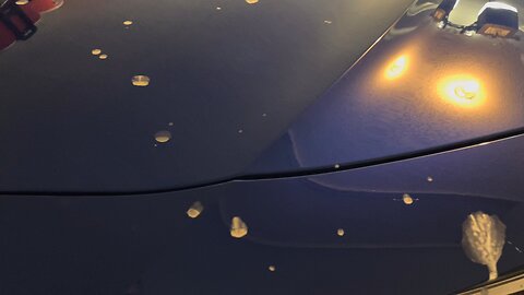 Blasian Babies DaDa Noticed That Seagulls Left Bird Droppings On The Beautiful Apex Blue Pearl Paint