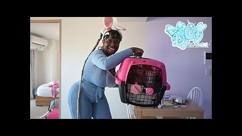 ♡ TRAVELING TO JAPAN WITH BUNNIES ♡ ウサギと一緒に日本へ旅行︱LILY DIOR