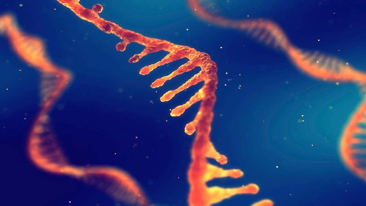 RNA| Introduce Triple Helix Fromation