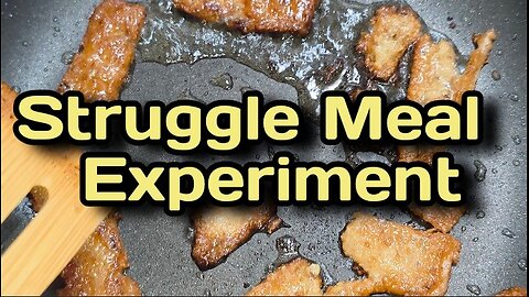 Chick Pea a/k/a Garbanzo Bean Burmese Tofu {A Struggle Meal Fake Meat Experiment}