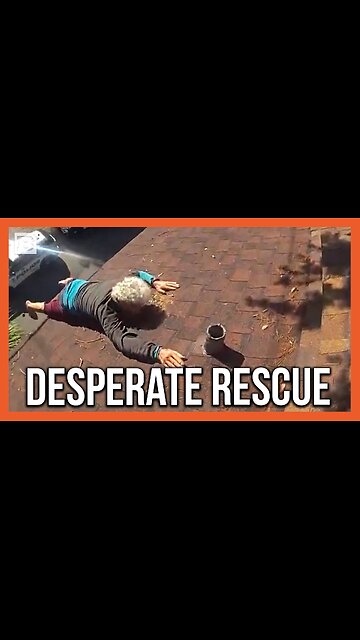 Tampa Police Rescue Elderly Man Hanging Off Roof 3 Stories Up