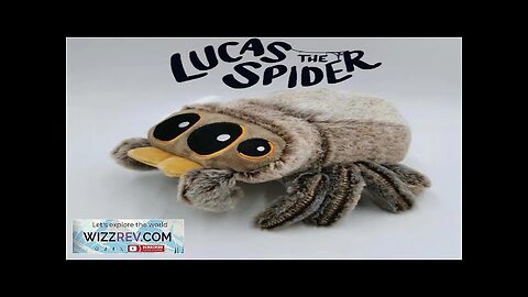 Stuffed Soft Animals Plushies Spider Toy Black Little Lucas Simulated Pillow Doll Review