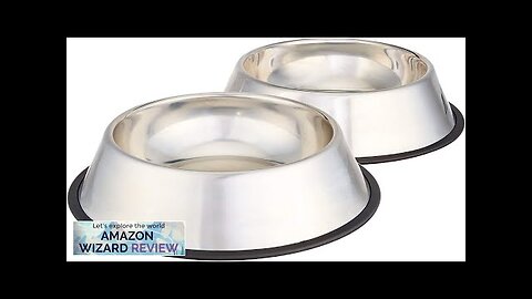 Amazon Basics Stainless Steel Non-Skid Pet Dog Water And Food Bowl 2-Pack Review