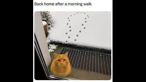 ✡️🇦🇷 Israel 👺 uses Bank 💰 Transactions Targeting Trump Supporters