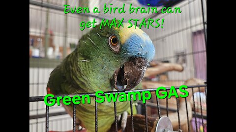 CUT26 Challenge a Day!