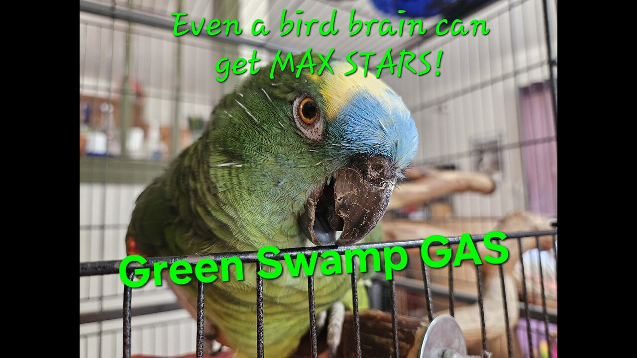 CUT26 Challenge a Day!