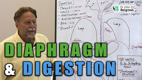 Diaphragm & Digestive System 🥬🥒🍖♨️🍳🍉🍑