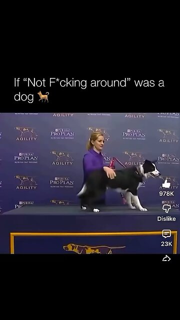 This Dog Gives A Whole New Meaning To Fur Missle❣️Don’t Blink;You’ll Miss This Record Time!