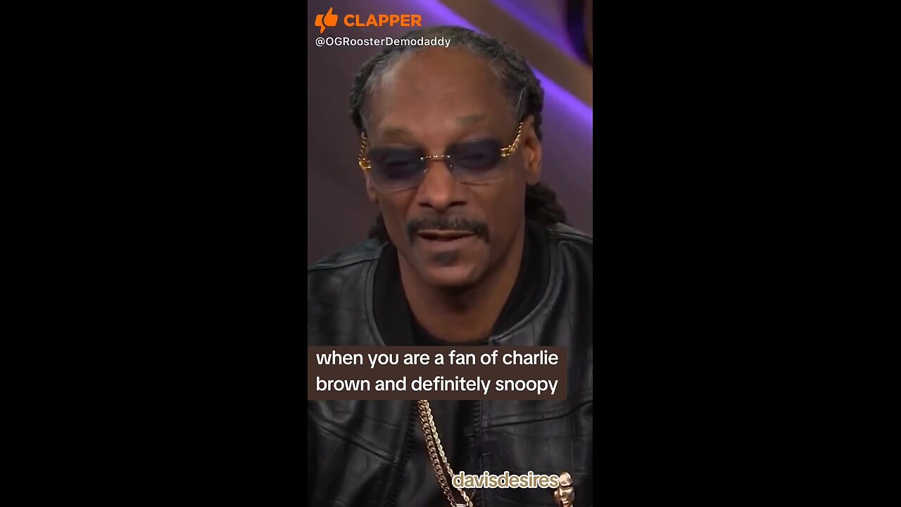 when you are a charlie brown and snoopy fan