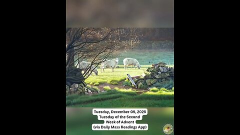 Tuesday, December 09, 2025 Tuesday of the Second Week of Advent #faith #readings #advent2025