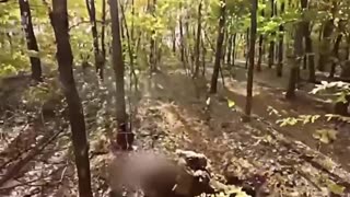 Russians Wiped Out During Ukrainian Raid On Russian Positions in Lyman