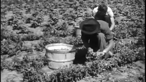 [NEW OPPORTUNITIES FOR YOUTH] - [NEW OPPORTUNITIES FOR YOUTH] - fc-fc-4321