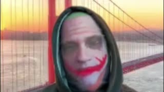 Doge Design - The Real Identity Behind the Meme Revealed!