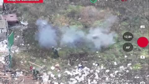 Pig Sets Off Mine Ment for Two Russian Soldiers