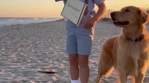 JFKJR PRODUCTIONS presents TheQuietJourney.TV