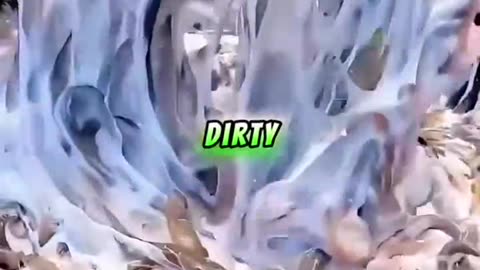 would you eat this