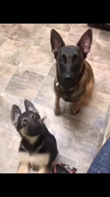 TEACHING SATURDAY 1/25/26