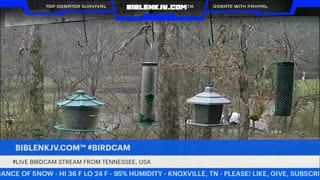 BIBLENKJV.COM™ 12/08/2025 #LIVE #BIRDCAM #WEATHER