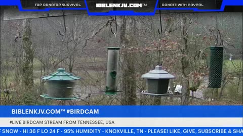 BIBLENKJV.COM™ 12/08/2025 #LIVE #BIRDCAM #WEATHER