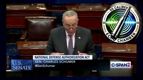 Chuck Schumer Lectures Donald Trump at the end of Trump's First Term