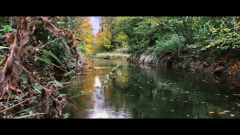 How to Shoot CINEMATIC VIDEO with your iPhone!!!