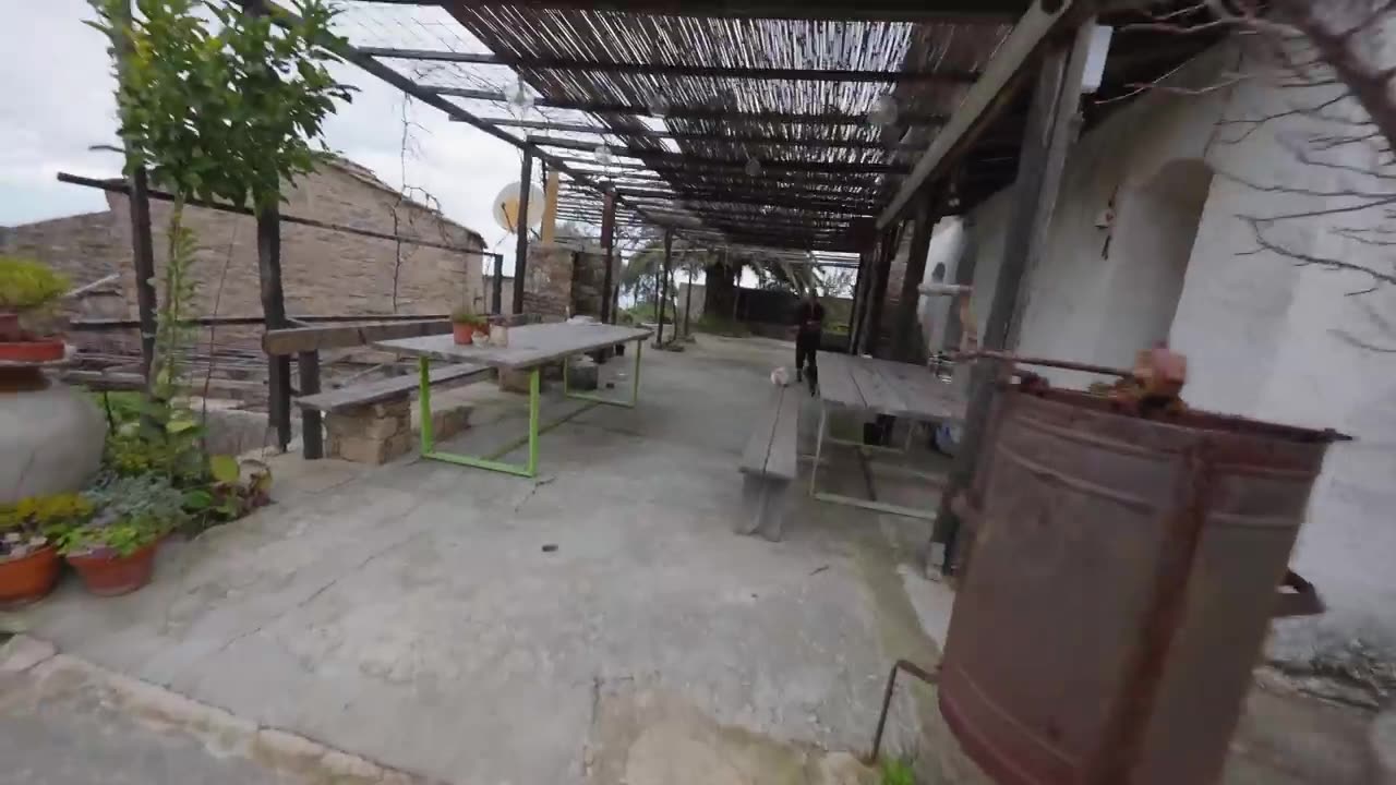 The Island Where People Forget to Die