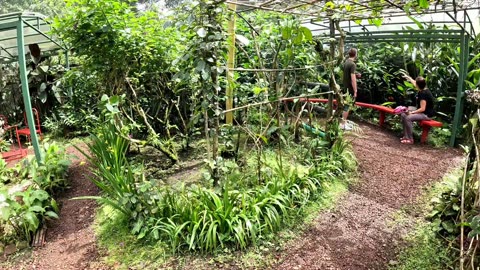 Butterfly Garden in Costa Rica
