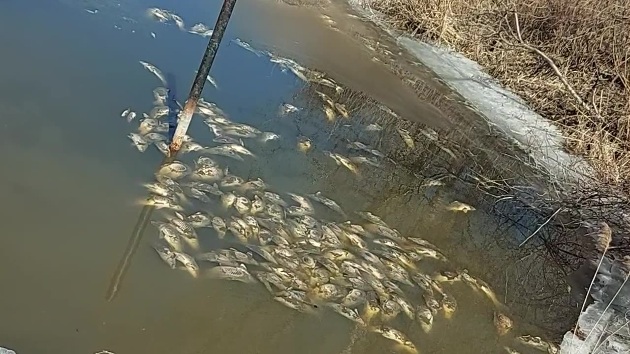 Spring thaw