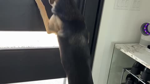 She thought he was never coming back