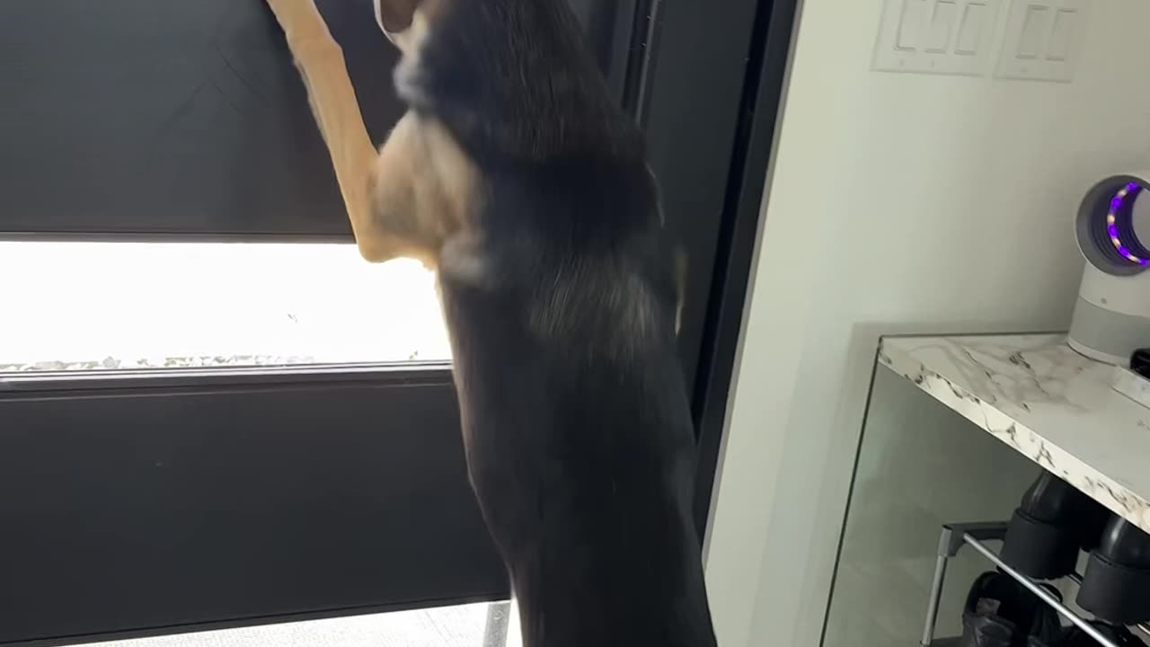 She thought he was never coming back