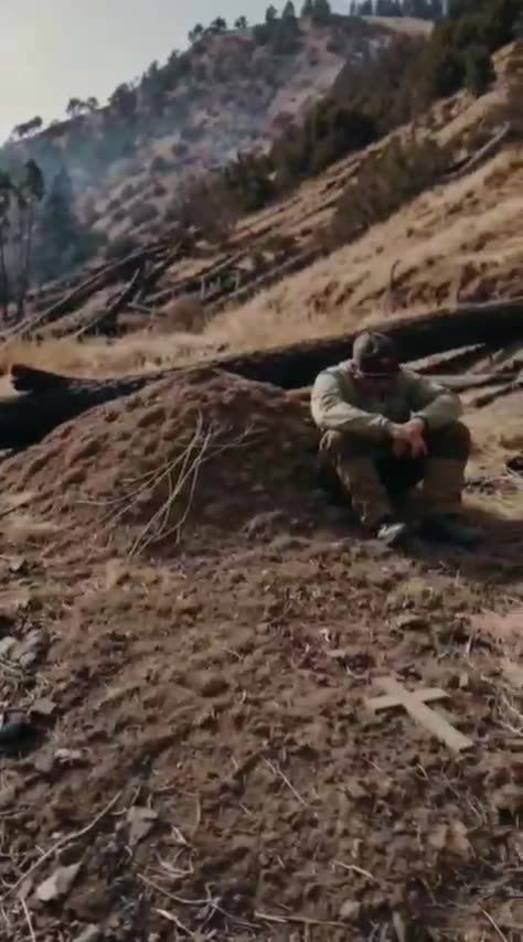 LA Fires - Many helpless animals wander around in the flames