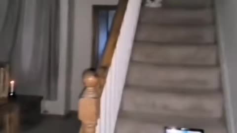 😱👻 You Won't Believe What They Caught on Camera! Ghostly Toksa | TheHauntingHour