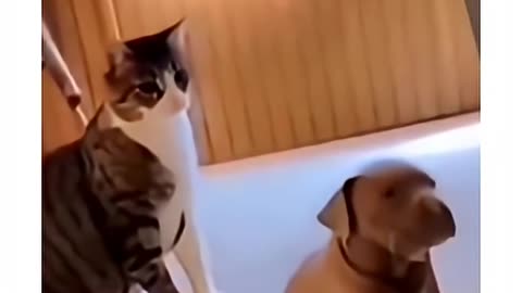 This was something different